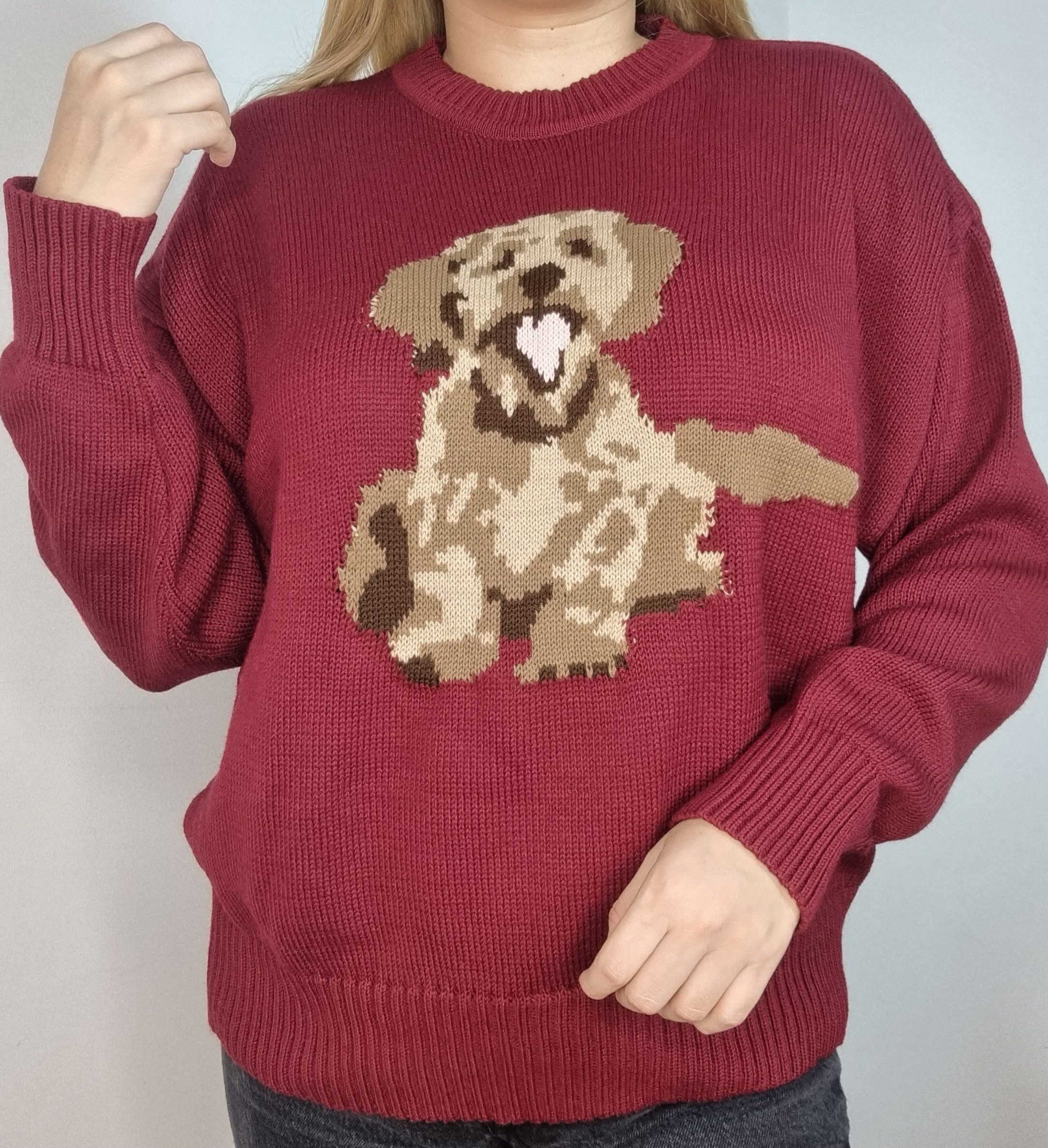 Chompa con Diseño de Perrito
