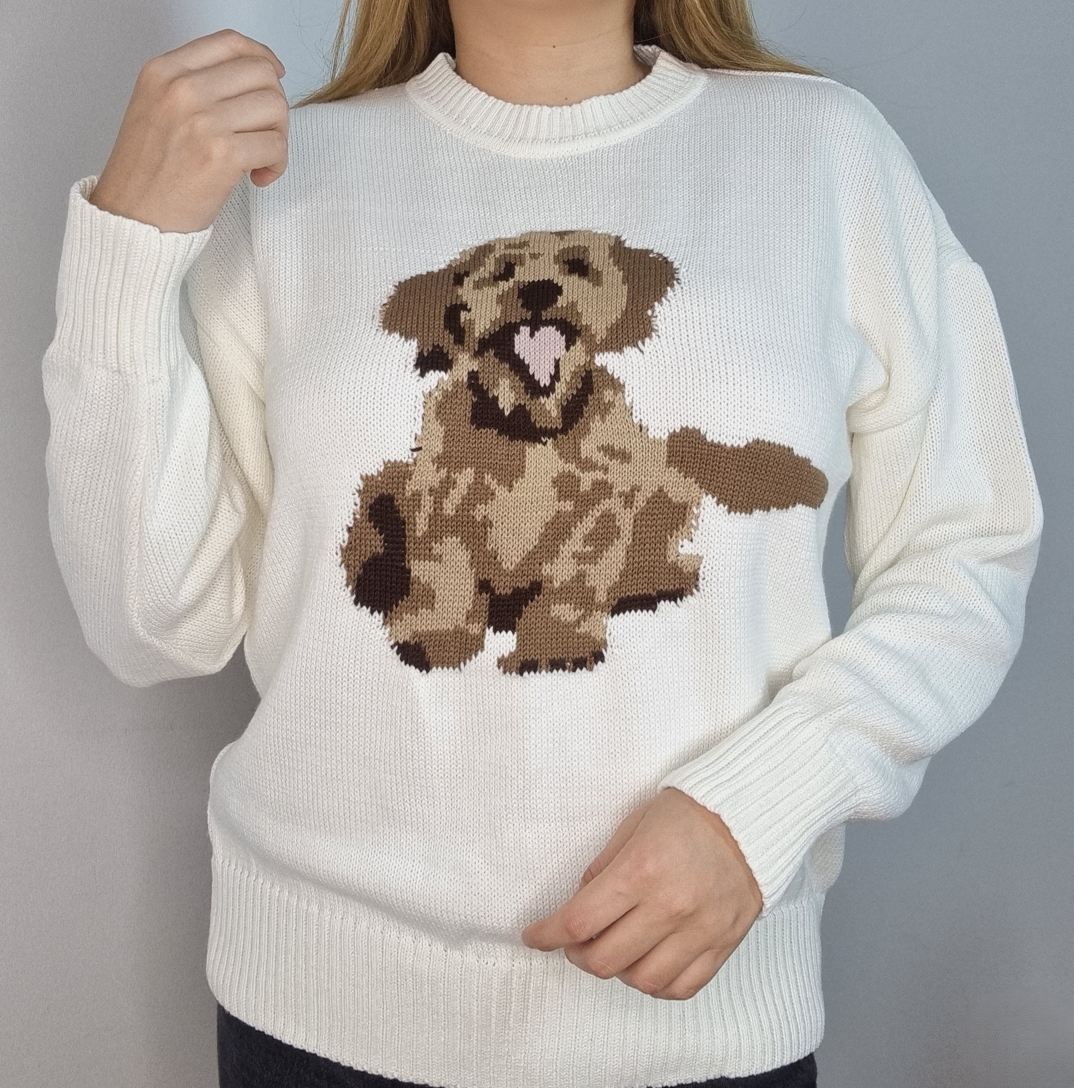 Chompa Tejida con Diseño de Perrito